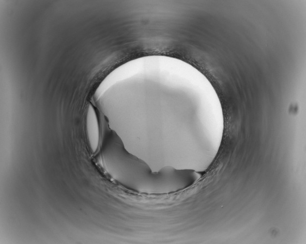 X0000098170027200805221525