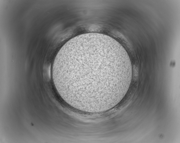 X0000098170028200805221525