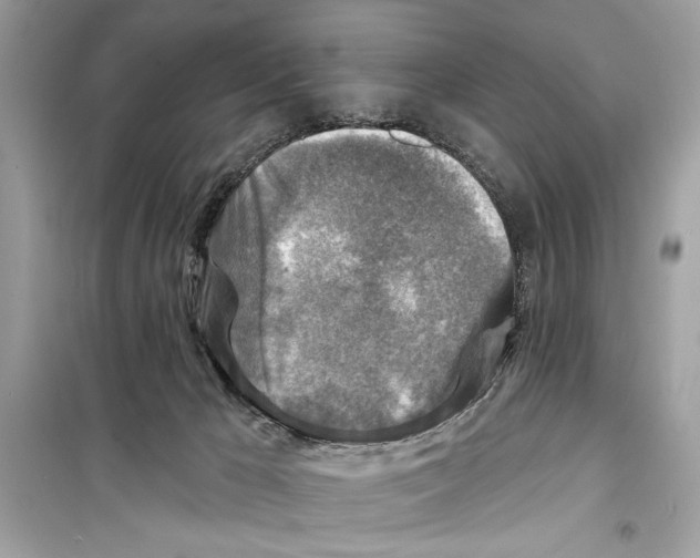 X0000098170029200805221525