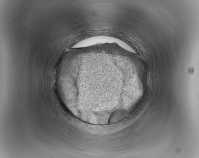 X0000098170030200805221525