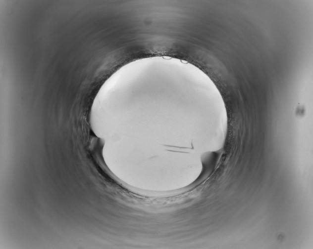 X0000098170031200805221525