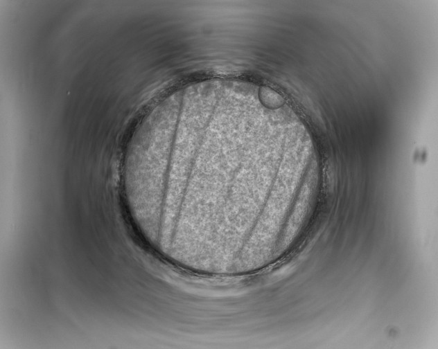 X0000098170032200805221525