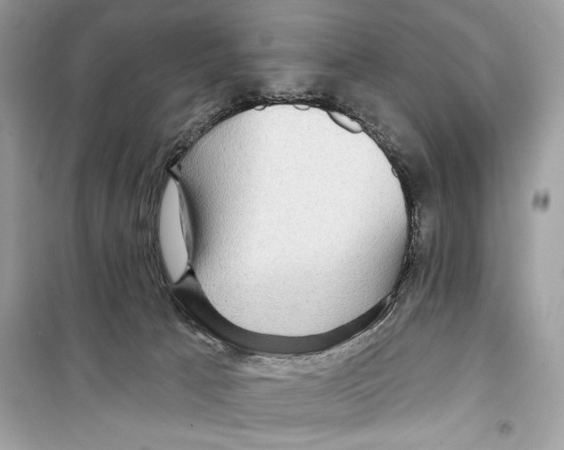 X0000098170033200805221525