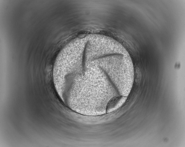 X0000098170034200805221525