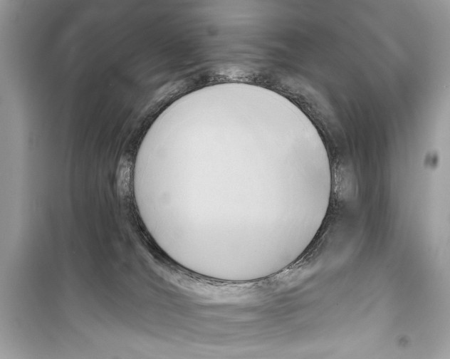 X0000098170036200805221525