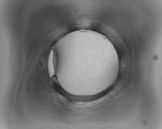 X0000098170037200805221525