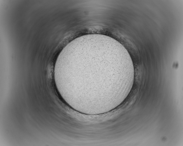 X0000098170038200805221525