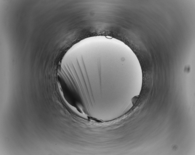 X0000098170039200805221525