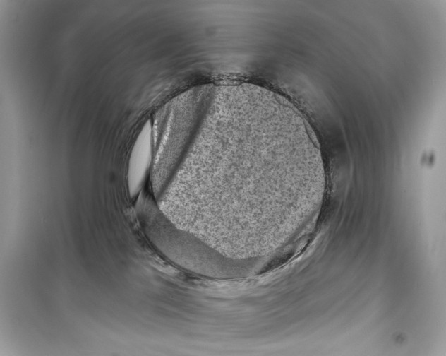 X0000098170041200805221525