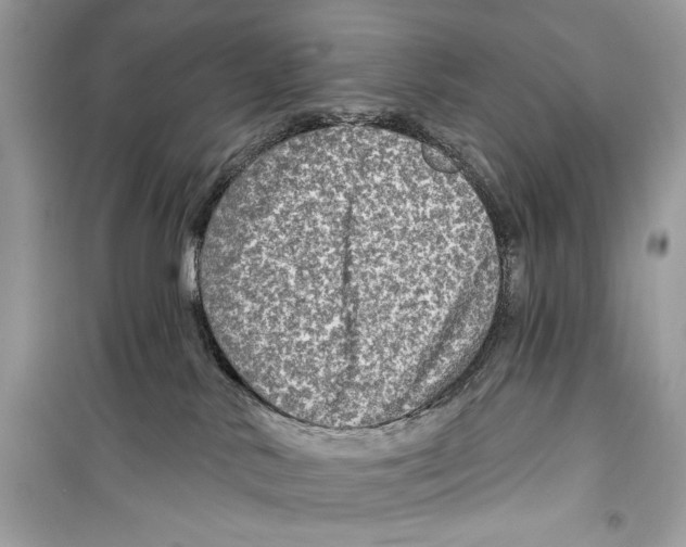 X0000098170042200805221525