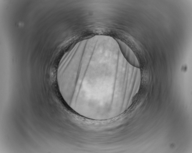 X0000098170043200805221525