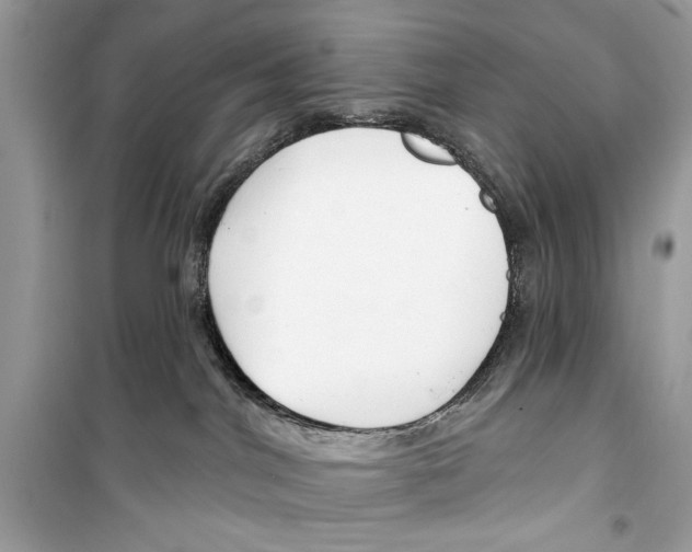 X0000098170044200805221525