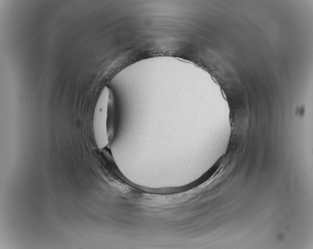 X0000098170045200805221525