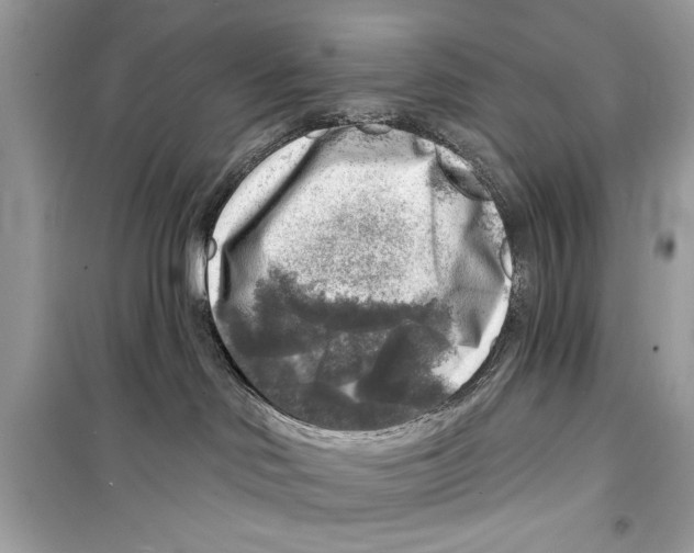 X0000098170046200805221525