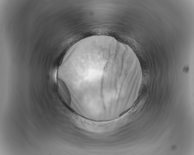 X0000098170047200805221525