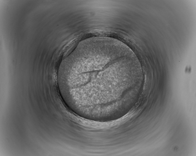 X0000098170048200805221525