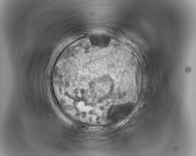 X0000098170049200805221524