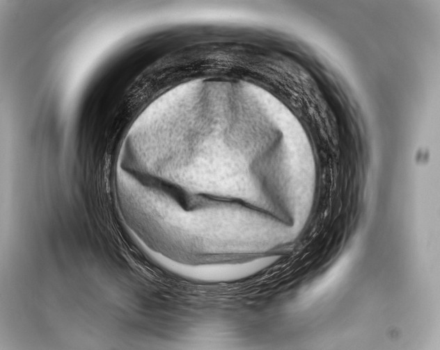 X0000098170050200805221524