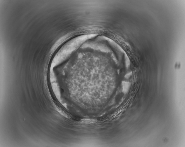 X0000098170051200805221524