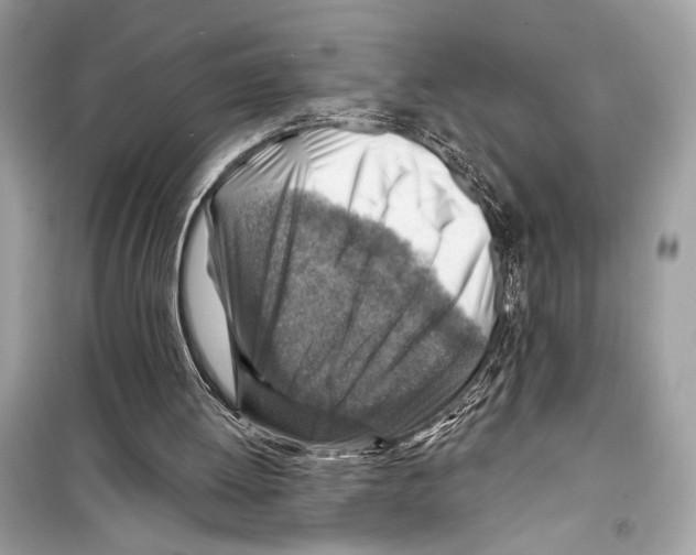 X0000098170052200805221524