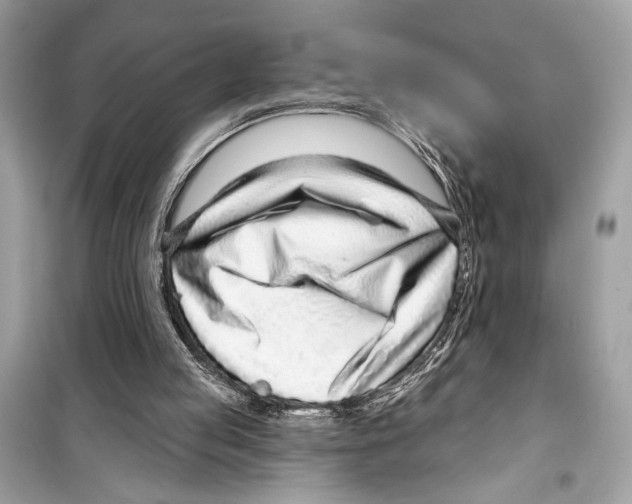 X0000098170053200805221524