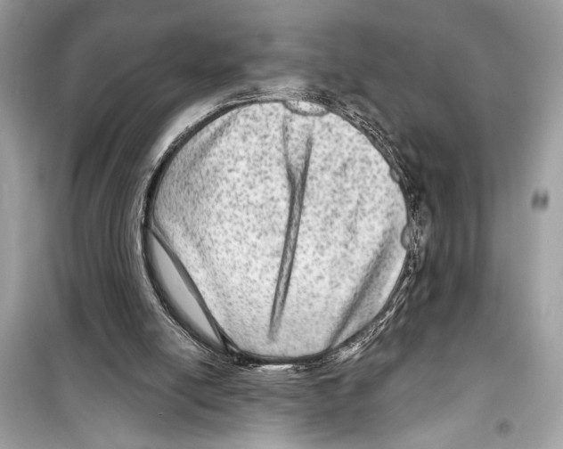 X0000098170054200805221524