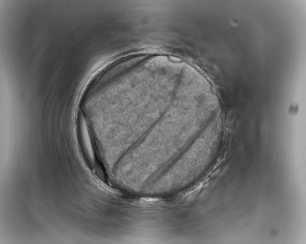 X0000098170055200805221524