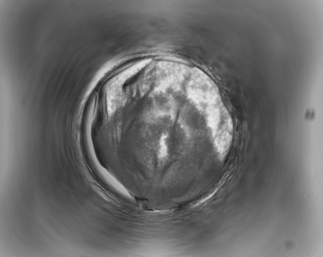 X0000098170056200805221524