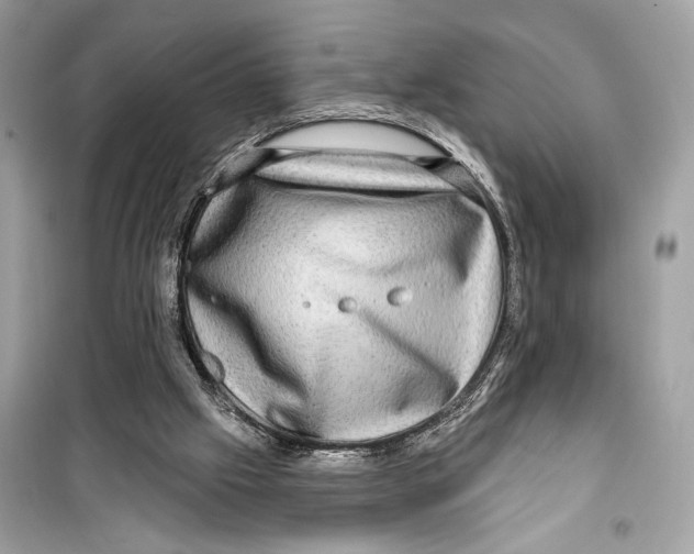 X0000098170057200805221524