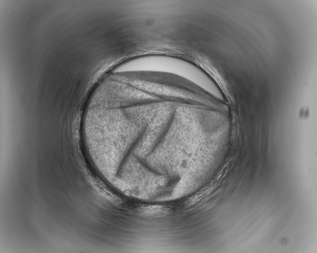 X0000098170058200805221524