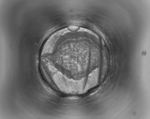 X0000098170059200805221524