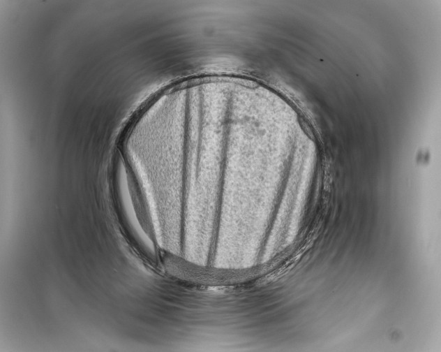 X0000098170060200805221524