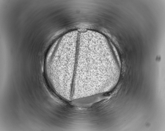 X0000098170062200805221524