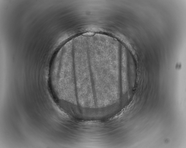 X0000098170063200805221524