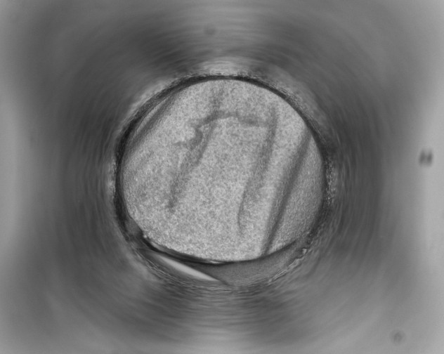 X0000098170064200805221524