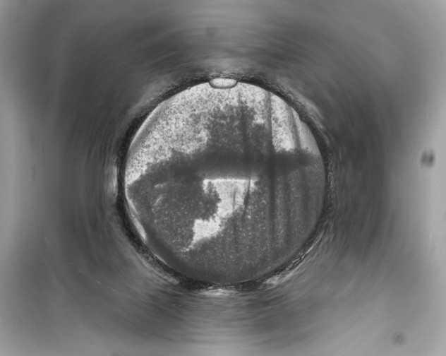 X0000098170067200805221524