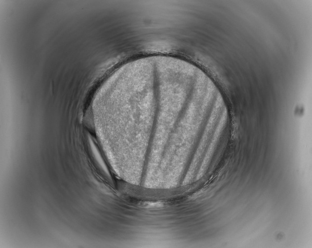 X0000098170068200805221524