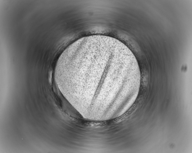 X0000098170070200805221524