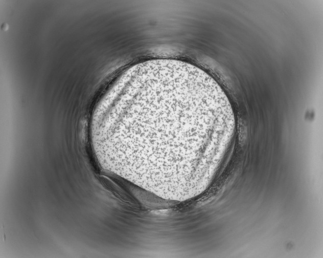 X0000098170071200805221524