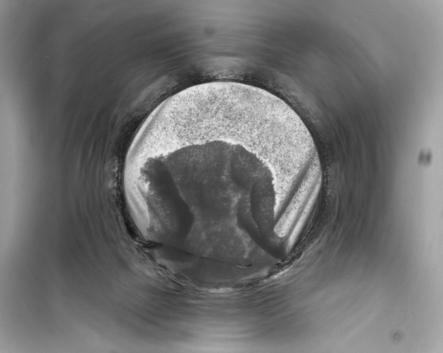 X0000098170073200805221524