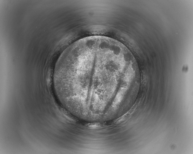 X0000098170074200805221524