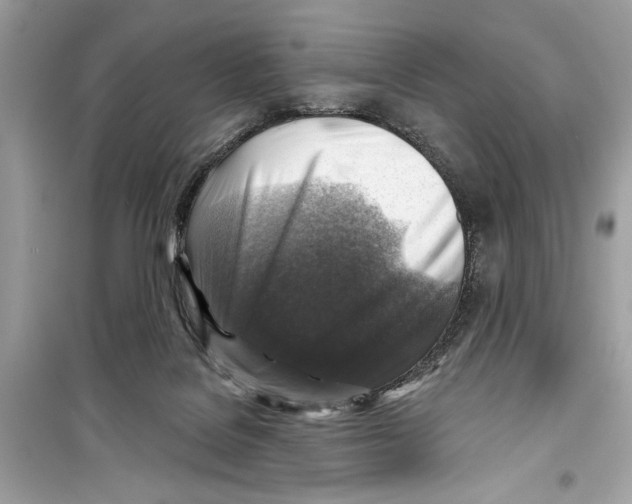 X0000098170076200805221524