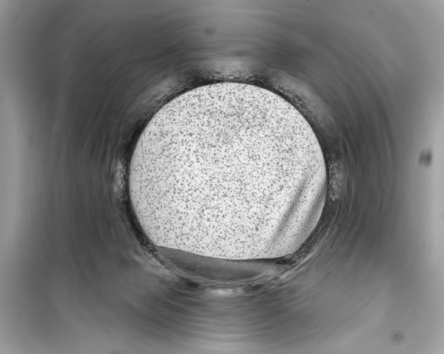 X0000098170077200805221524