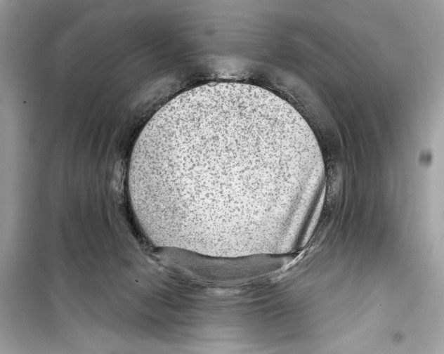 X0000098170078200805221524