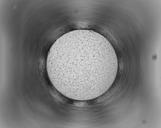 X0000098170079200805221524