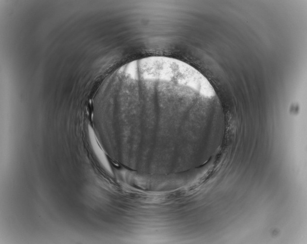 X0000098170080200805221524