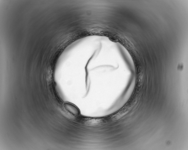 X0000098170081200805221524