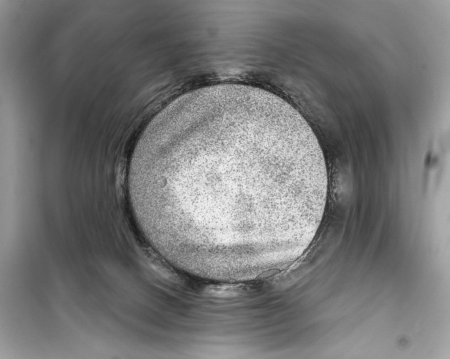 X0000098170082200805221524