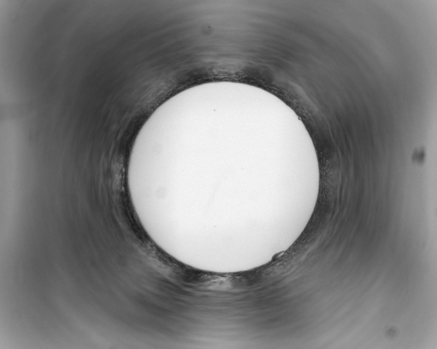 X0000098170083200805221524