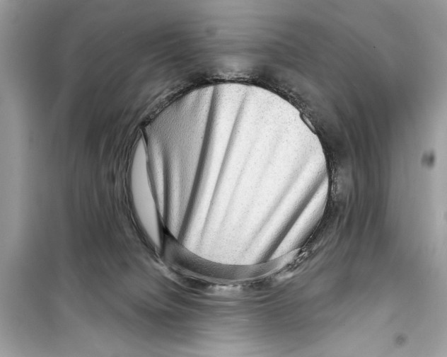 X0000098170084200805221524